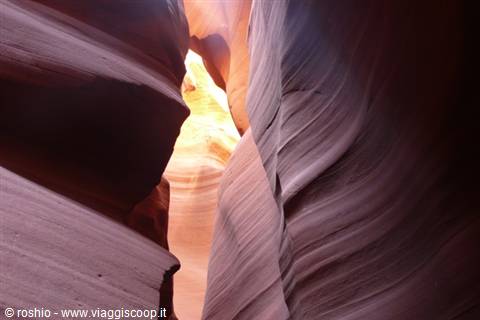 Cunicoli - Grand canyon