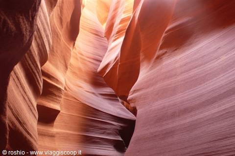 Cunicoli - Grand canyon