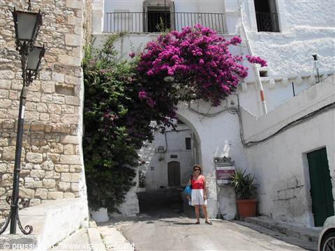 Ostuni, la città bianca