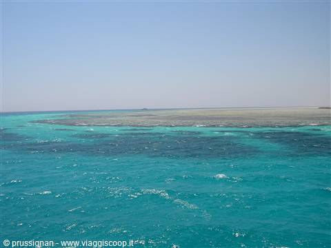barriera corallina