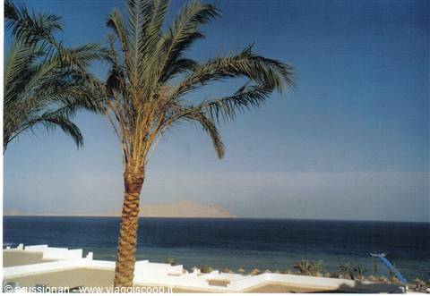 panorama dell'isola di Tiran