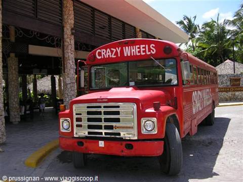 Crazy Wheels