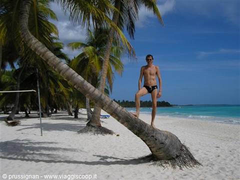 palme a Saona