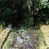biotopo Fontanazzo.....magie dell'acqua ITALIA 