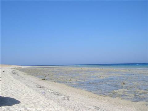 Abu Dabbab