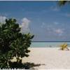 foto viaggio MALDIVE