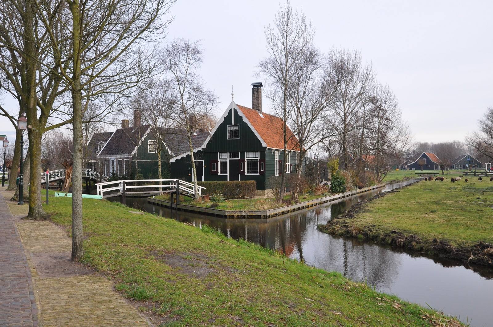 Foto di viaggio in OLANDA
