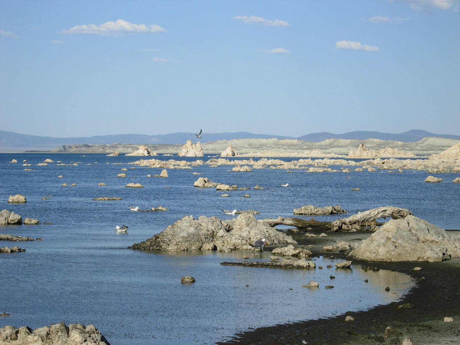 Mono Lake