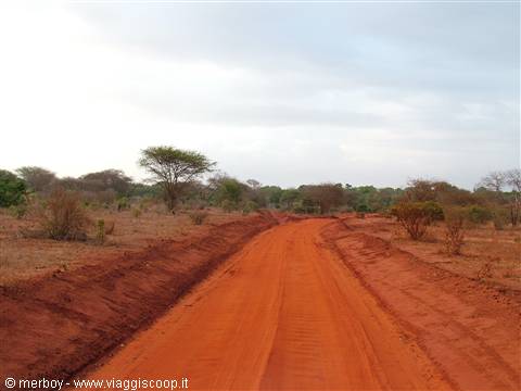 Safari - Tsavo Est