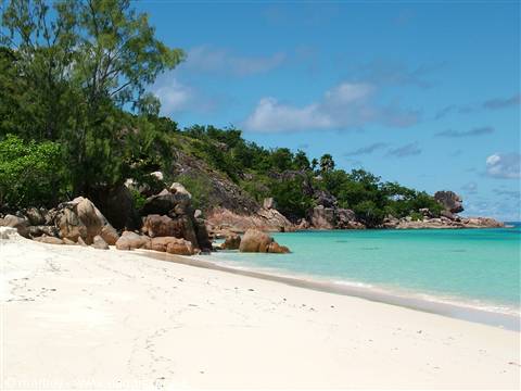 Couriose Island