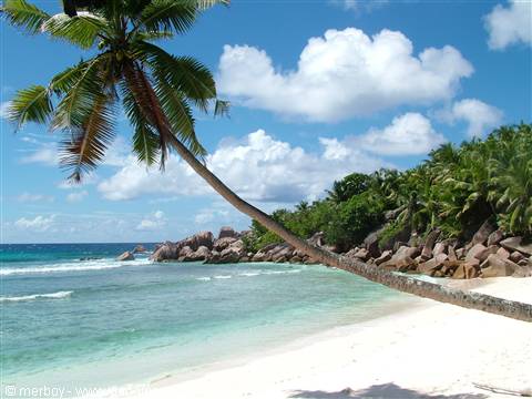La Digue - Anse Coco