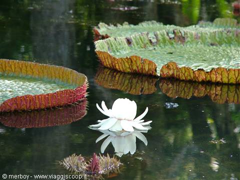 Giardino Botanico