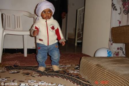 Sejed d'Arabia