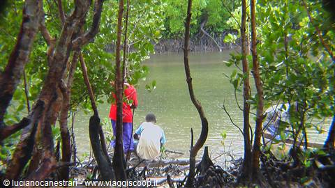 Pescatori al Mida Creek