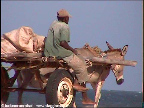 Mambrui: trasporto di carbone