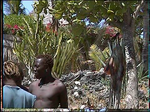 Watamu: pescatori