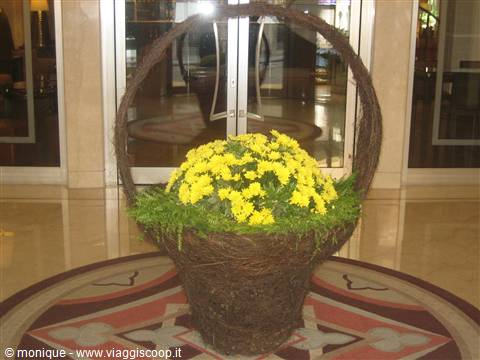 Fiori di benvenuto, Hotel Mediterraneo