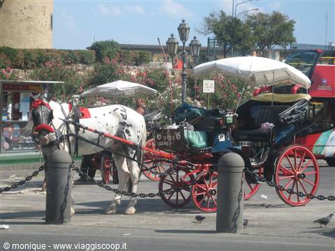 Tipica carrozza
