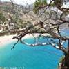 Apella GRECIA 