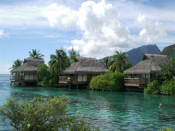 moorea