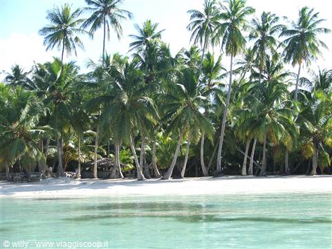 ISOLA SAONA
