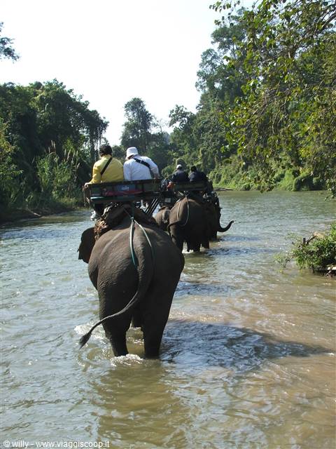 Chang Mai