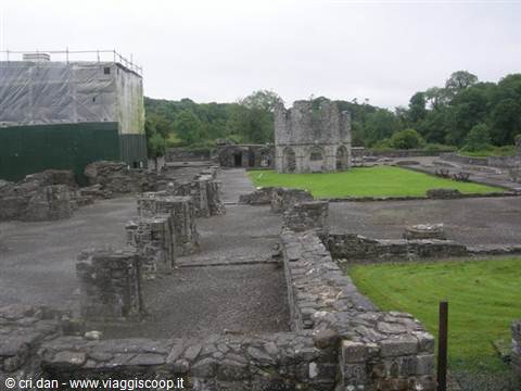 Mellifont Abbey