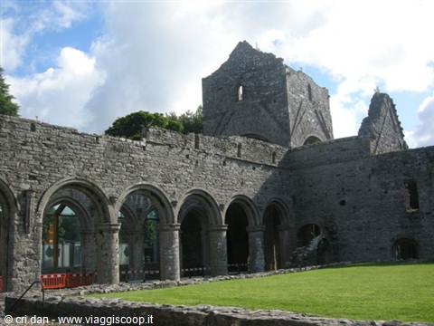 Boyle Abbey