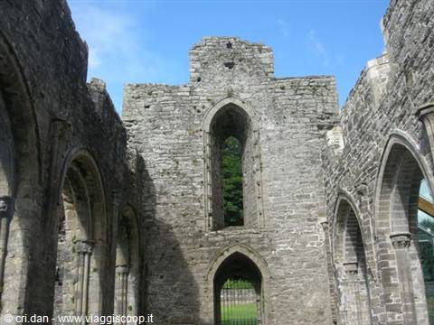 Boyle Abbey