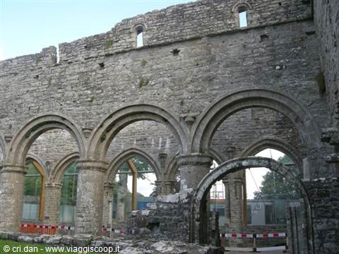 Boyle Abbey