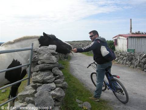 Aran Islands - Inis Oírr
