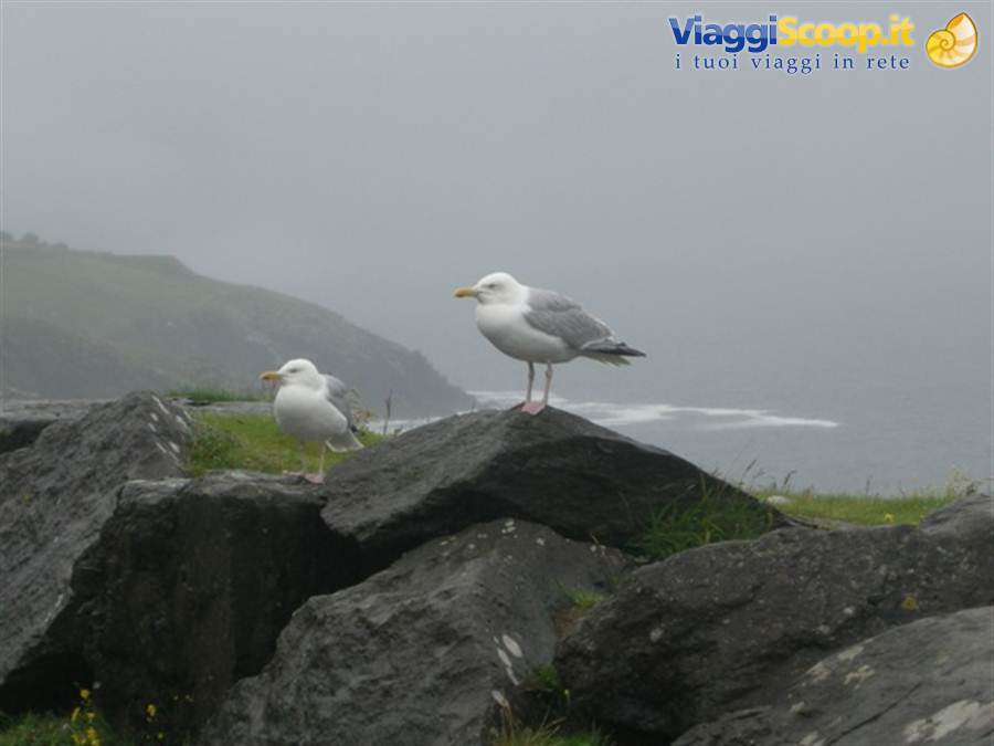 Penisola di Dingle