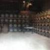 Distilleria Jameson Whiskey IRLANDA 