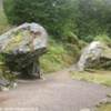 Blarney Castle IRLANDA 