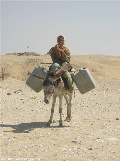 Sakkara 