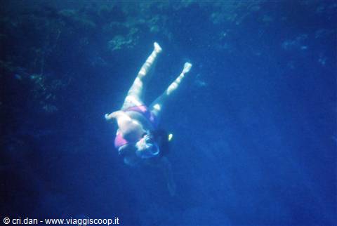 Un po' di snorkeling...