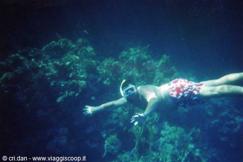 Un po' di snorkeling...