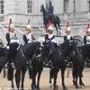Le guardie della regina REGNO UNITO 