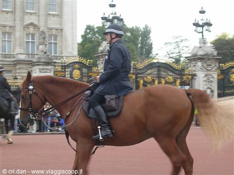 Poliziotto a cavallo