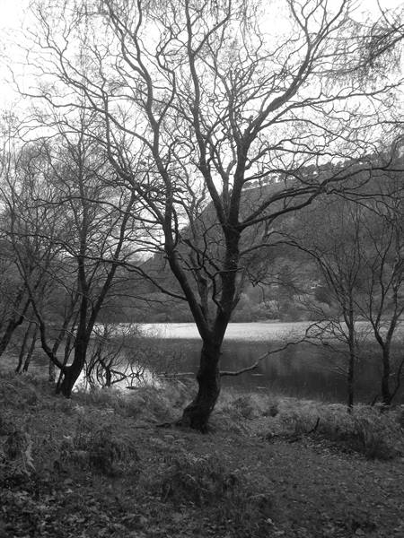 Glendelough