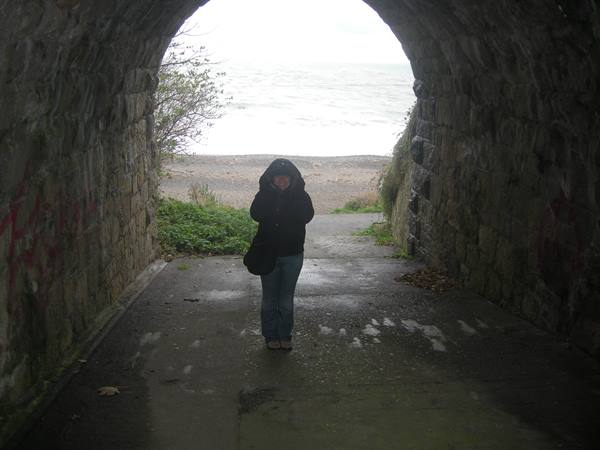 KILLINEY - Verso la spiaggia