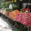 Mercato ortofrutticolo di prodotti locali STATI UNITI D'AMERICA 
