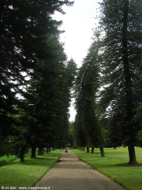 Kendy - giardini botanici reali
