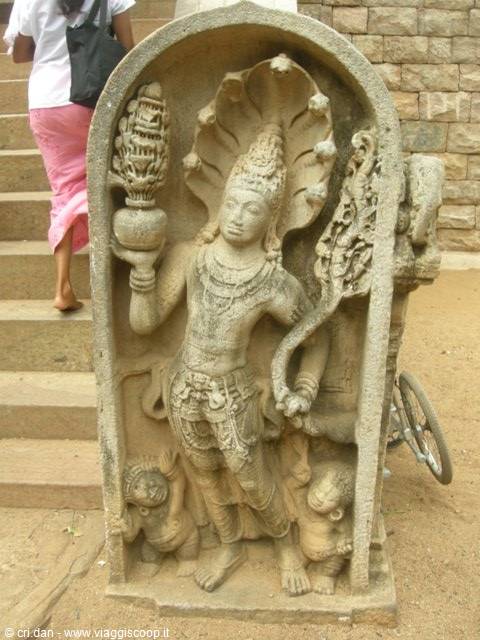 Anuradaphura