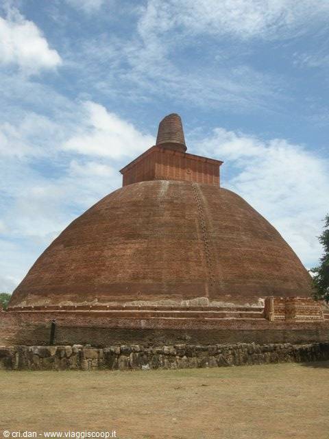 Anuradaphura