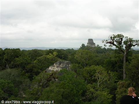 tikal
