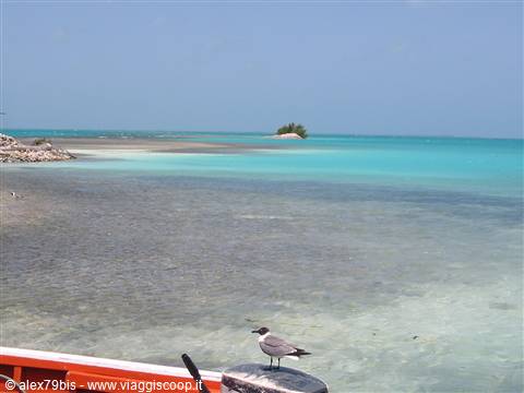 los roques