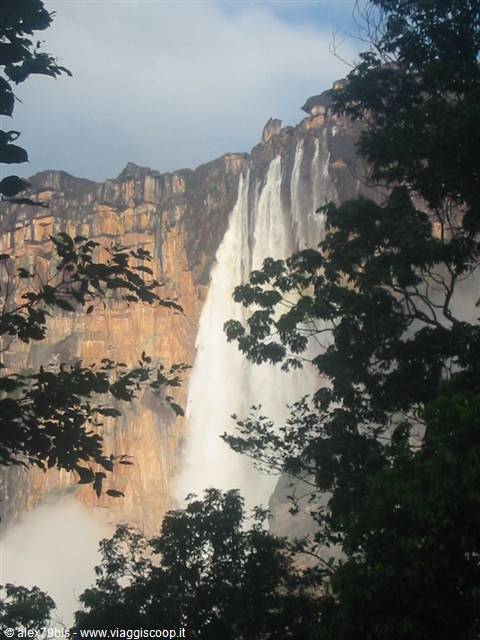 salto angel
