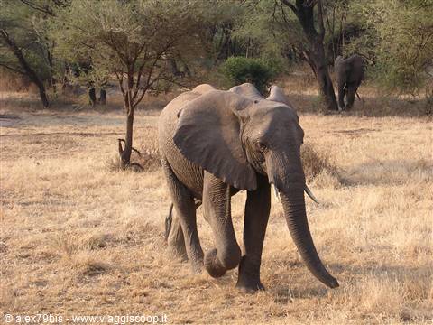 Lake Manyara