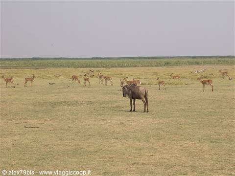 Lake Manyara